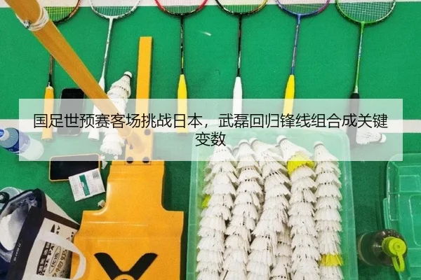 guo-zu-shi-yu-sai-ke-chang-tiao-zhan-ri-ben-wu-lei-hui-gui-feng-xian-zu-he-cheng-guan-jian-bian-shu-3-186.jpg